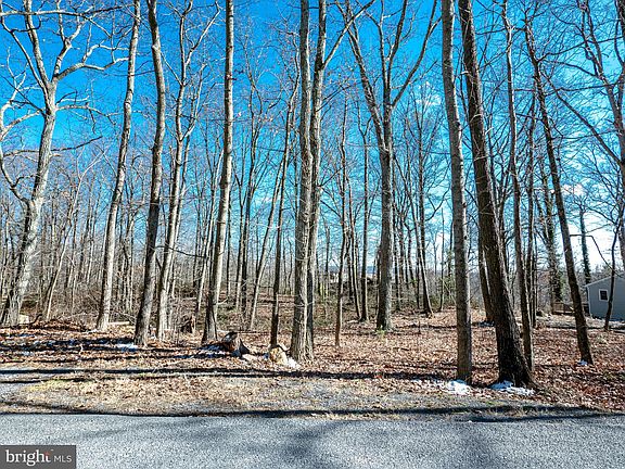 5th image of LOT 50 Gilmore Trl
