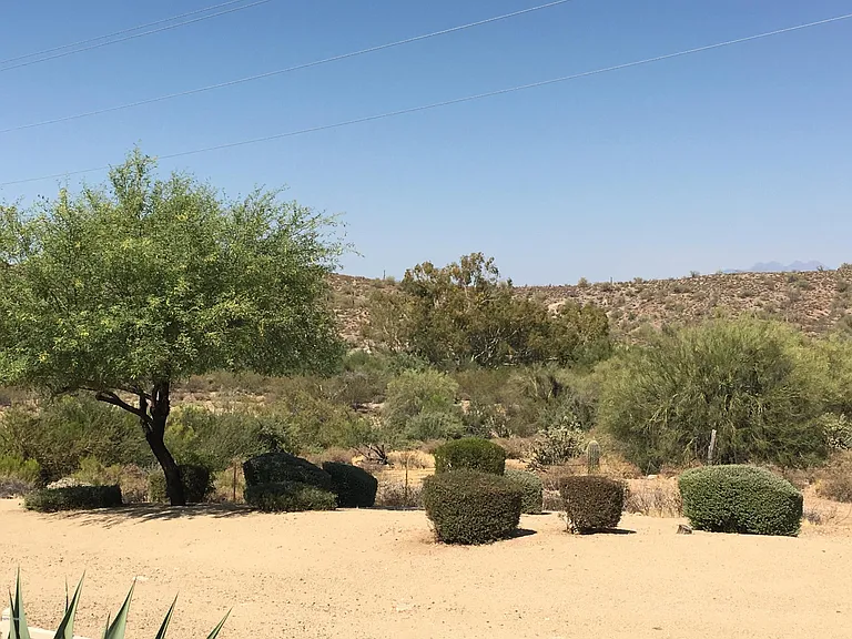 11725 N Desert Vis #109 — Photo 26
