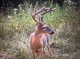 597 Lost Hollow Rd, Monticello, KY 42633