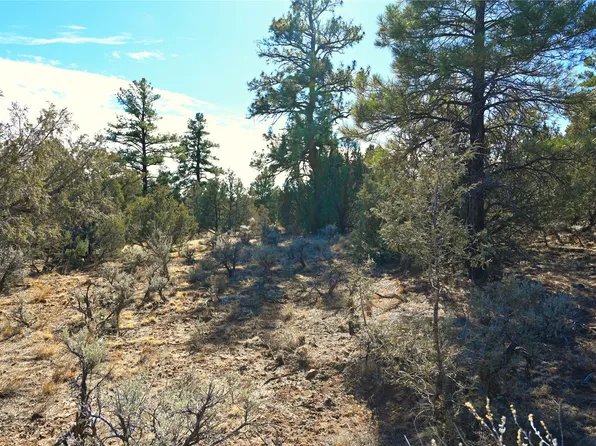 0 Venado Ln #1-lot 79, Tierra Amarilla, NM 87575
