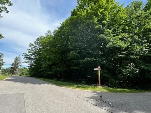 LOT 4 Deskin Dr, Bellaire, MI 49615
