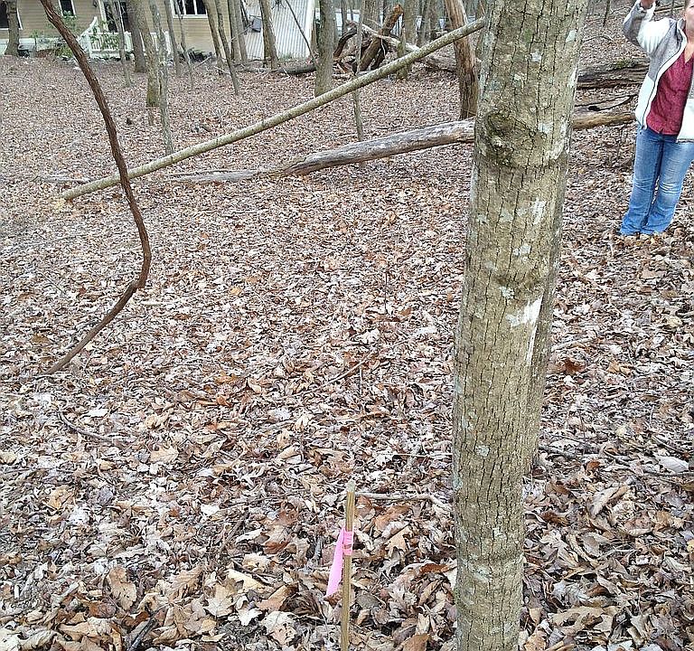 1st image of 0 Poplar Dr