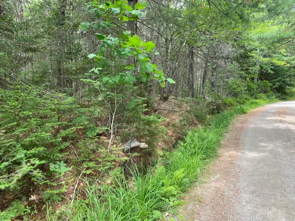 M39, L30D Jay Carter Road, Blue Hill, ME 04614