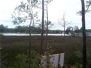 1st image of 111 Core Creek Dr