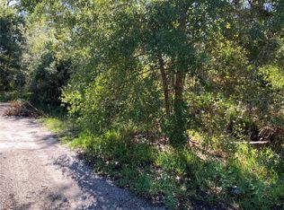 Suanee Ave, Eustis, FL 32726