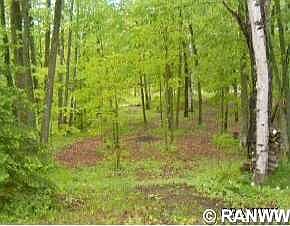 1st image of 0 N Koeppler Road
