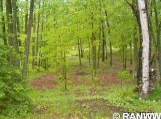0 N Koeppler Rd, Ojibwa, WI 54862