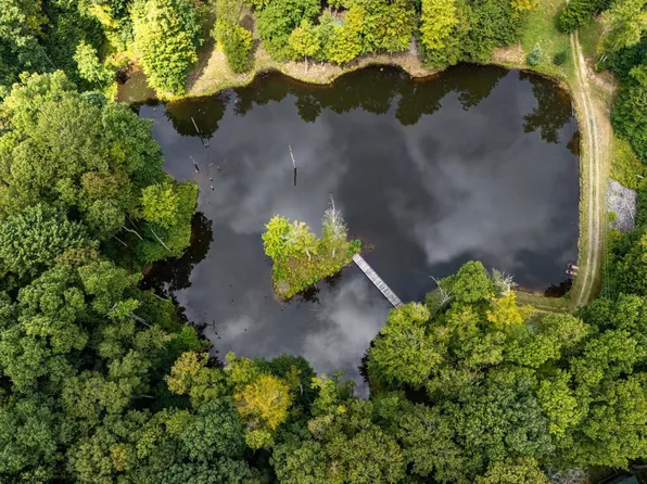 180 Thorpe Mountain Ln, Tallmansville, WV 26237