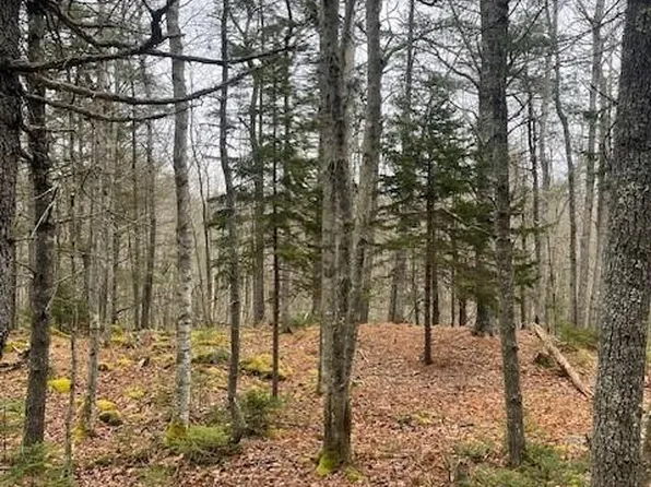 0 Black Spruce Road Lot 7, Bristol, ME 04539