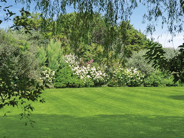 163 Town Line Rd — Photo 28