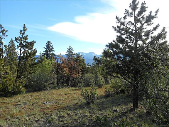 3rd image of 30491 National Forest Dr