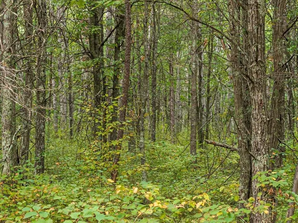 LOT Sandberg Dr #J, Merrifield, MN 56465