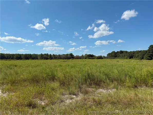 LOT 3 Collier Rd, Wade, NC 28395