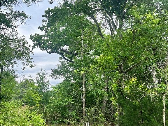 3rd image of Hickory Nut Ln