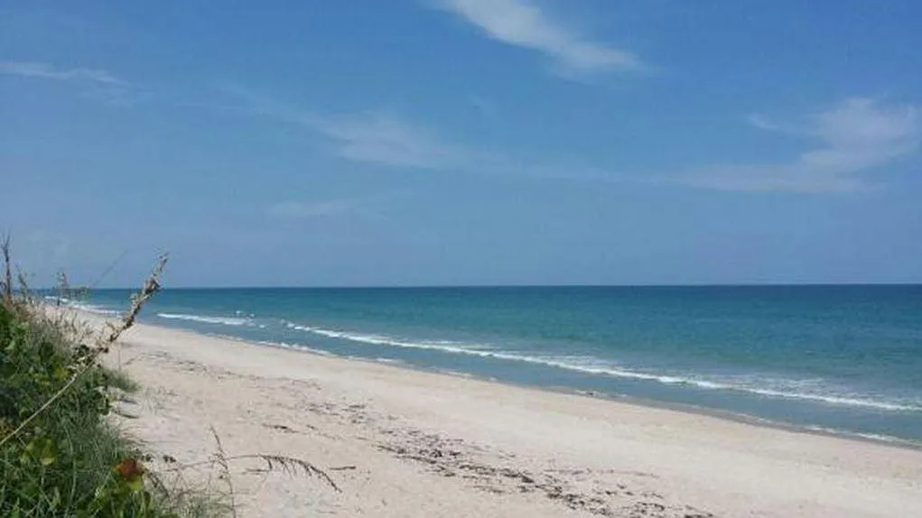 Beautiful beach at end of block; less than 5 minute walk - 265 Kings Way