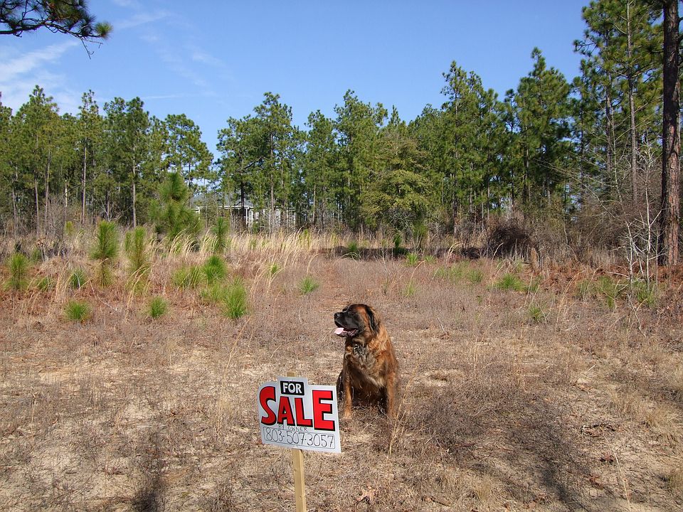 Molly Mastiff not included