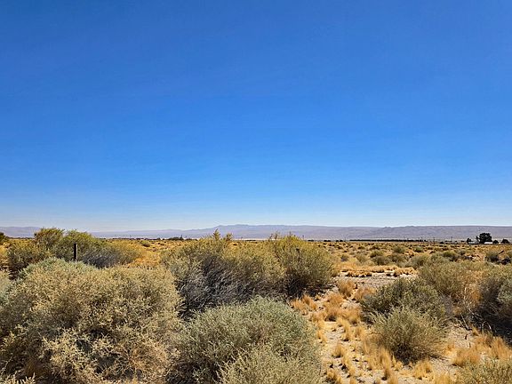 5th image of Cholla Road Near Munsey Rd
