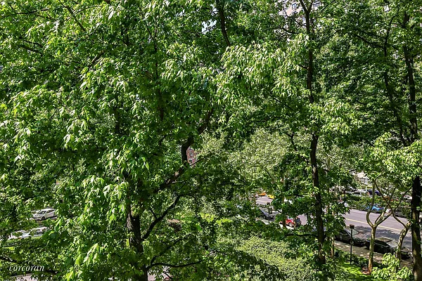 Sold by Corcoran | media 6