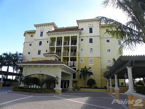 Pointe Building