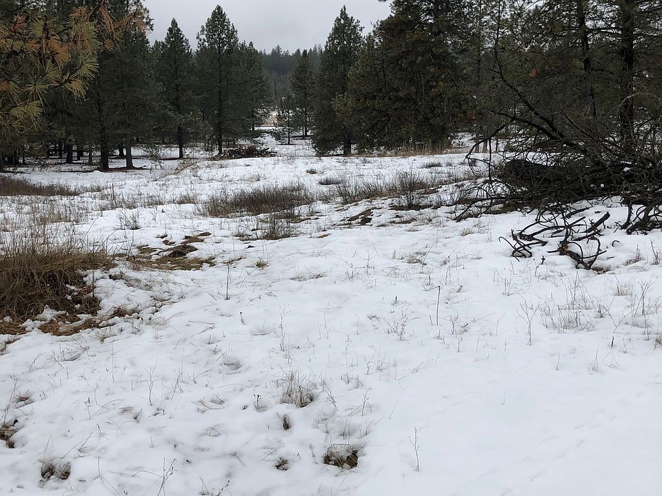 2nd image of 2809 W Burroughs Rd