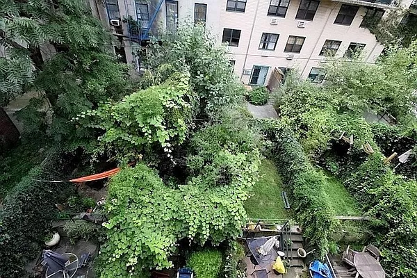 Rented by Douglas Elliman | media 46