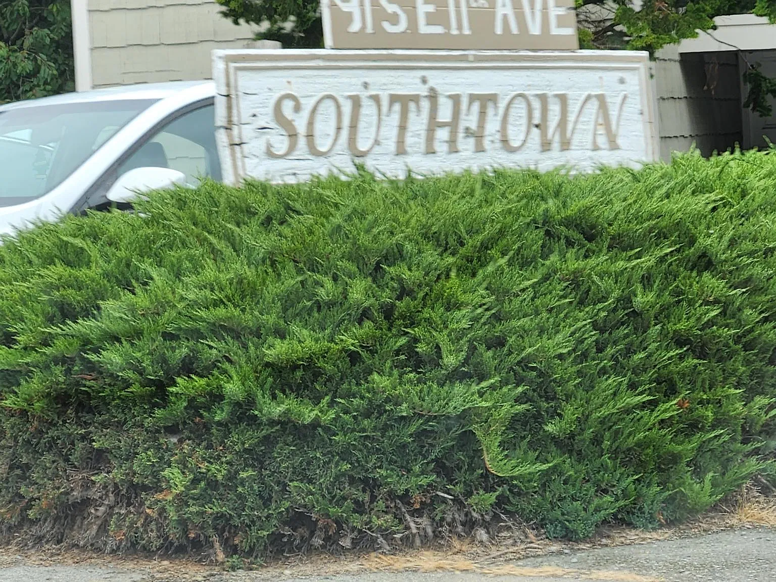 1 bed, 683 sqft, $1,450 — Photo 1