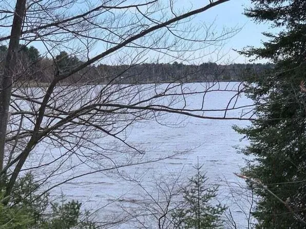 10 & 11 Lake Bluff Dr, Alpena, MI 49707