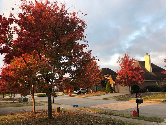 Fall on Morningwalk Lane