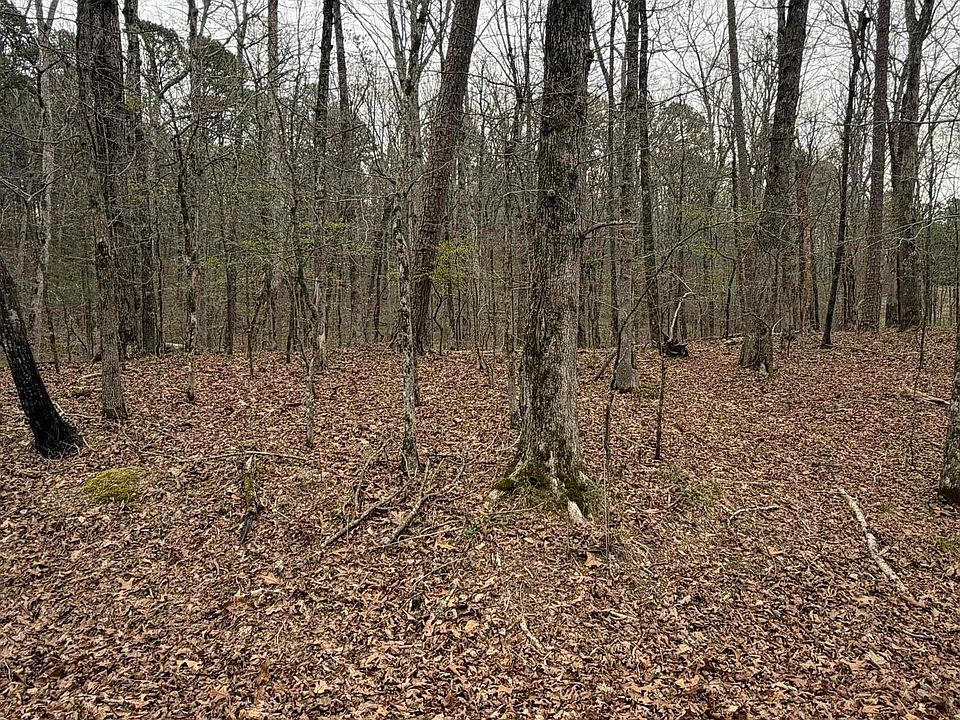 2nd image of (Undisclosed Address)
