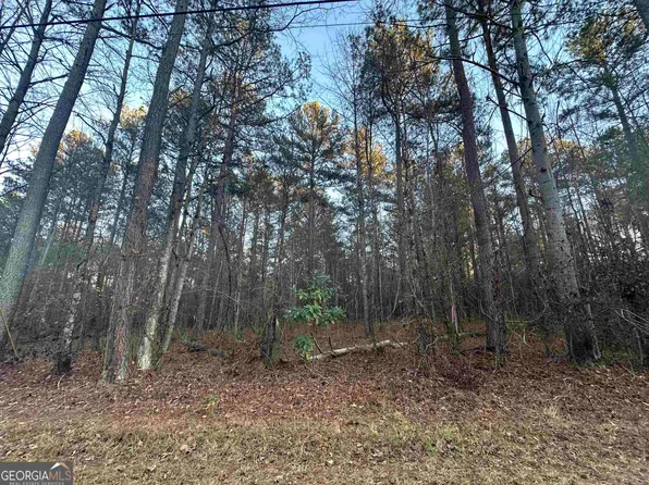 0 Macon Hwy, Bishop, GA 30621