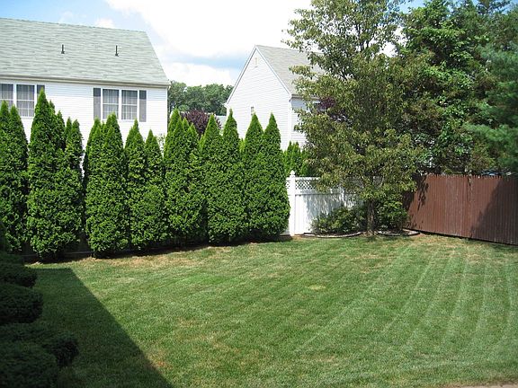 Landscaped Yard