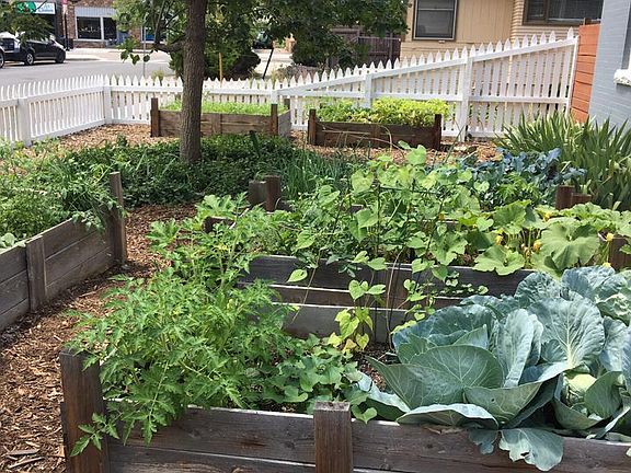 Create your own garden in the front yard!