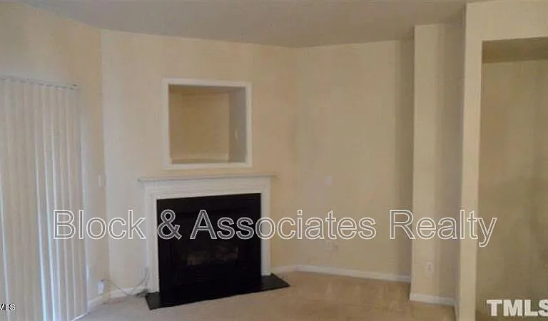 132 Linden Park Ln — Photo 6