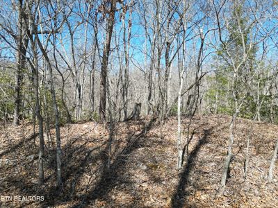 611 Saint George Dr LOT 6, Crossville, TN, 38558