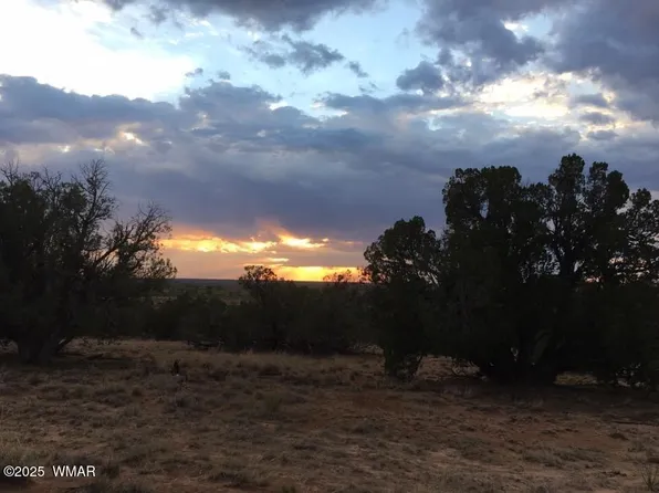 14 Eagle Rd, Concho, AZ 85924