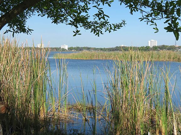 Lakefront