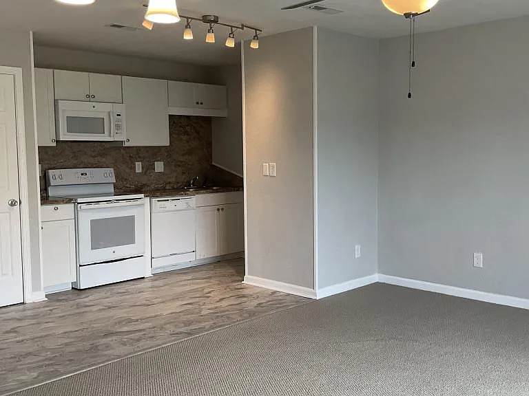 205 Double Eagle Dr #E1 — Photo 11