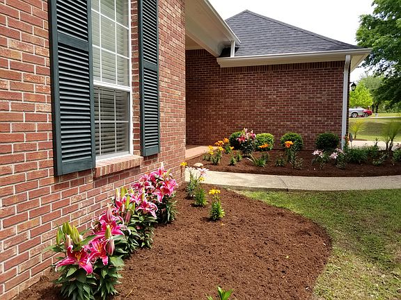 Front garden in spring