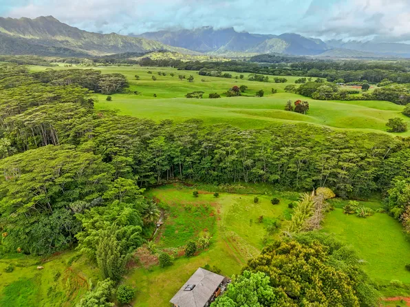 1636 Huli Rd #B, Kilauea, HI 96754