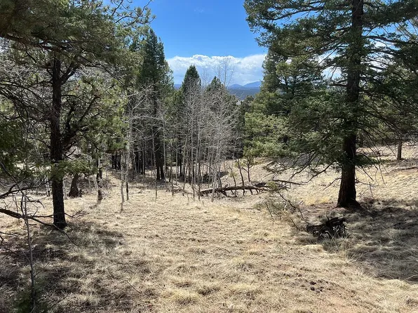 167 Southpark Rd, Florissant, CO 80816