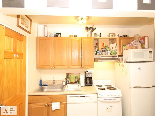 Rented by Alonzo Propertie NYC LLC | media 11