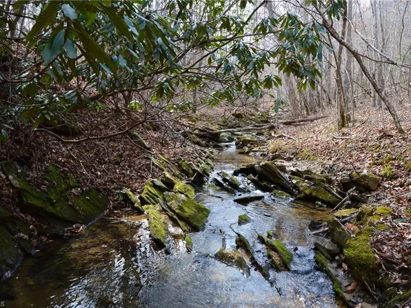 1284-1516 Tom Mix Rd, Westfield, NC 27053