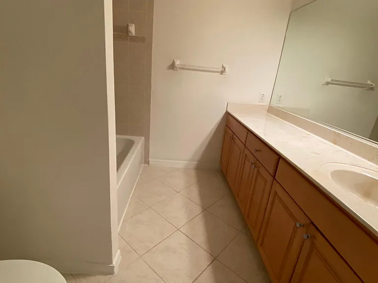 Guest bath vanity area