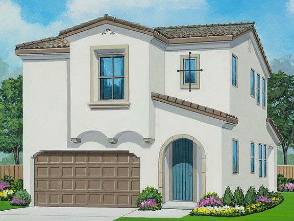 Tradition - Spanish Elevation