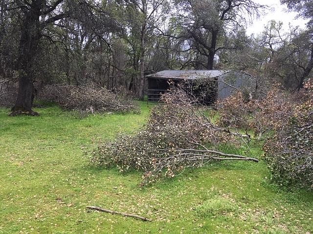 2nd image of 16145 Creekside Dr