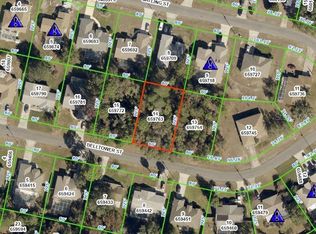 10389 Belltower St, Spring Hill, FL 34608