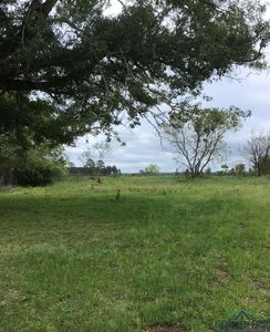 1983 County Road 121, Gary, TX, 75643