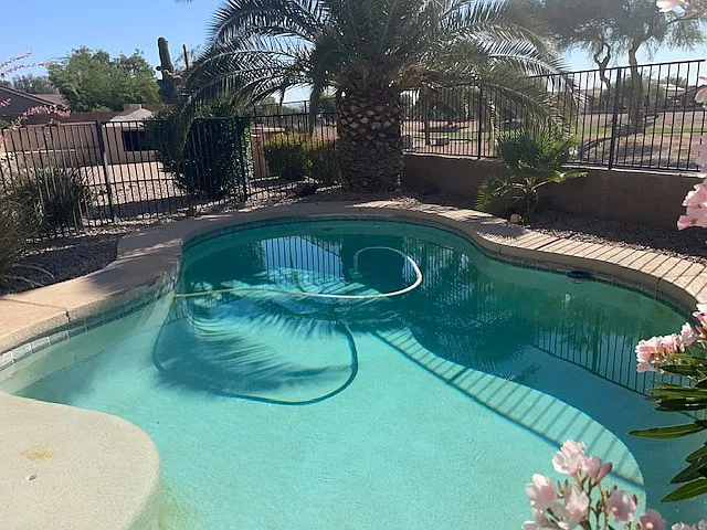31295 N Trail Dust Dr — Photo 9