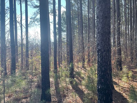 3rd image of 0 Hebron Church Rd #1