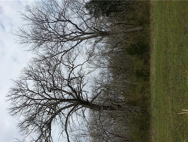 2nd image of 9 Oriole Dr